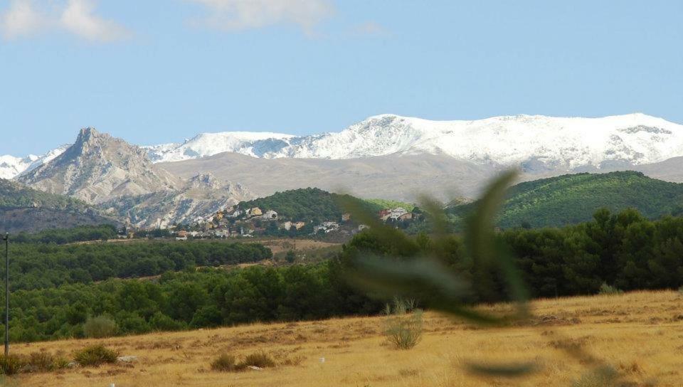 Appartamento El Rincon De Pepa La Zubia  Esterno foto